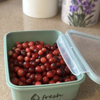 Контейнер Фреш герметичный 800 мл фисташковый