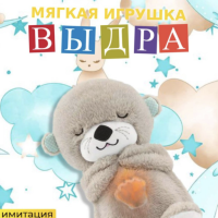 Спящая выдра