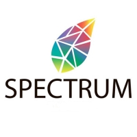 Шкаф-зеркало Spectrum 45, 45 х 65 х 12 см, с доводчиком