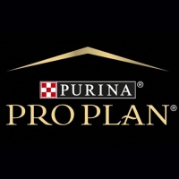Pro Plan