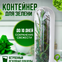 Контейнер для свежей зелени в холодильник с водой