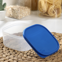 Набор контейнеров пищевых Доляна, квадратных, 2 шт: 450 мл, 700 мл, цвет голубой