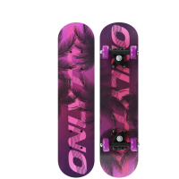 Скейтборд подростковый ONLITOP, 62x16 см, колёса PVC 50 мм, пластиковая рама