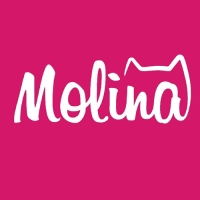 Сироп Mollina &laquo;Ваниль&raquo;, 345 г