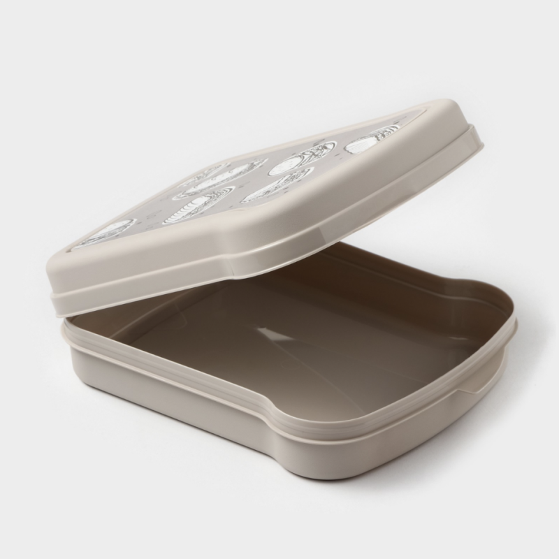 Бутербродница RICCO, 17x13x4.2 см, с декором Панини Бутербродница RICCO, 17x13x4.2 см, с декором Панини