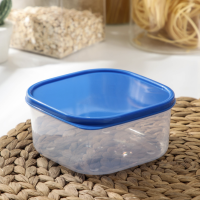 Набор контейнеров пищевых Доляна, квадратных, 2 шт: 450 мл, 700 мл, цвет голубой