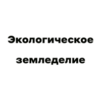 Горчичный жмых 2 л