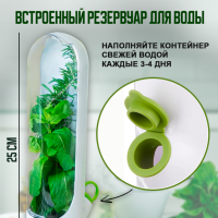 Контейнер для свежей зелени в холодильник с водой